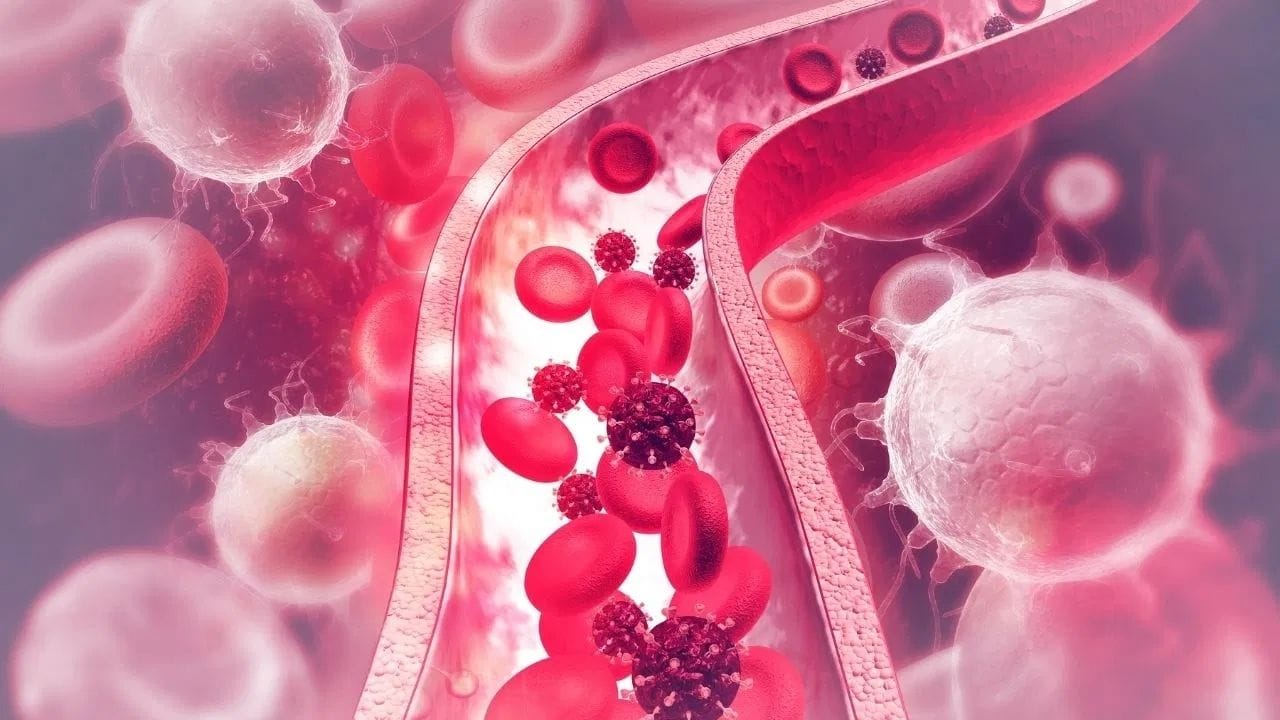 આકડાના પાન રક્તપ્રવાહમાં સુધારો કરવામાં પણ મદદરૂપ બને છે. તે દુખાવાવાળા વિસ્તારમાં વધુ ઓક્સિજન અને પોષક તત્વો પહોંચાડે છે, જેના કારણે દુખાવામાં ઝડપથી રાહત અનુભવાય છે. ઉપરાંત, તે સ્નાયુઓમાં થતા ખેંચાણ અને તણાવને ઓછું કરી સ્નાયુઓને આરામ આપે છે.