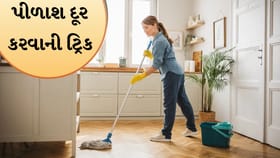 મોંઘા ક્લીનર વગર ફ્લોર બનશે ઝગમગતું, અપનાવો આ ઘરેલું ઉપાય