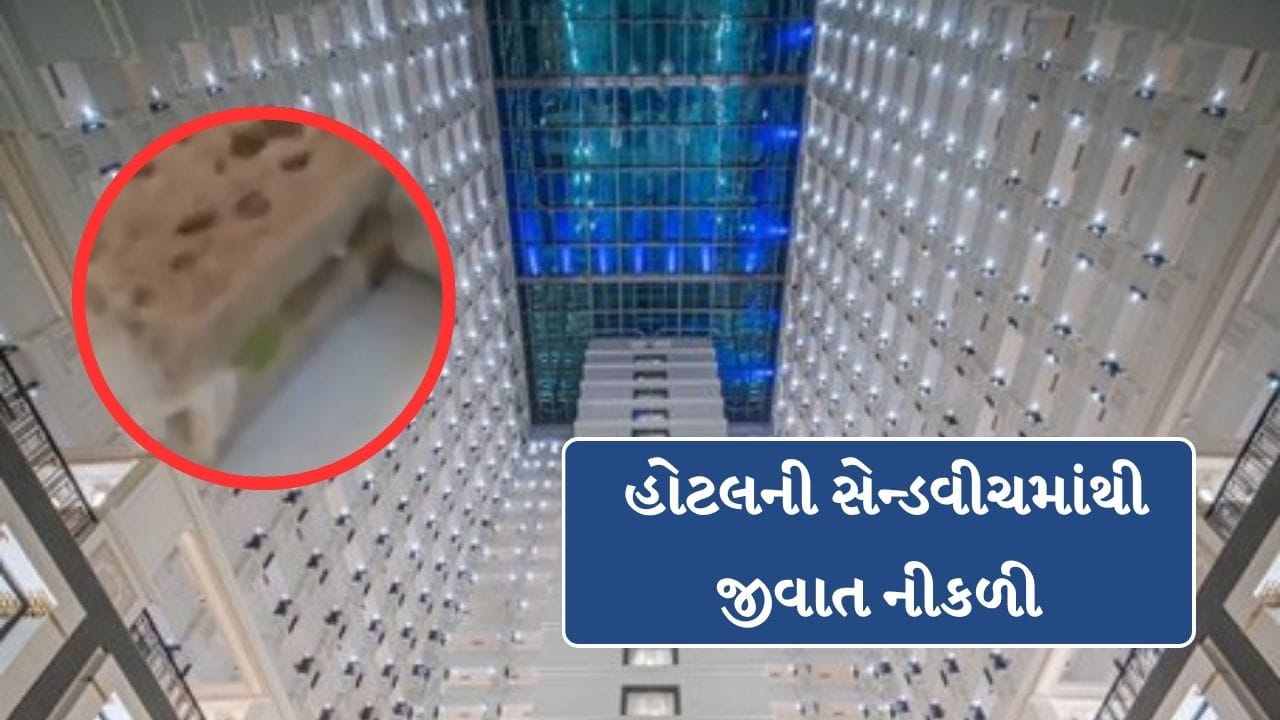 Breaking News : અમદાવાદની ITC નર્મદા હોટલની સેન્ડવીચમાંથી જીવાત નીકળી, જુઓ વીડિયો