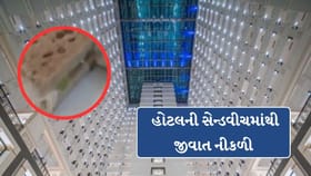 અમદાવાદની ITC નર્મદા હોટલની સેન્ડવીચમાંથી જીવાત નીકળી