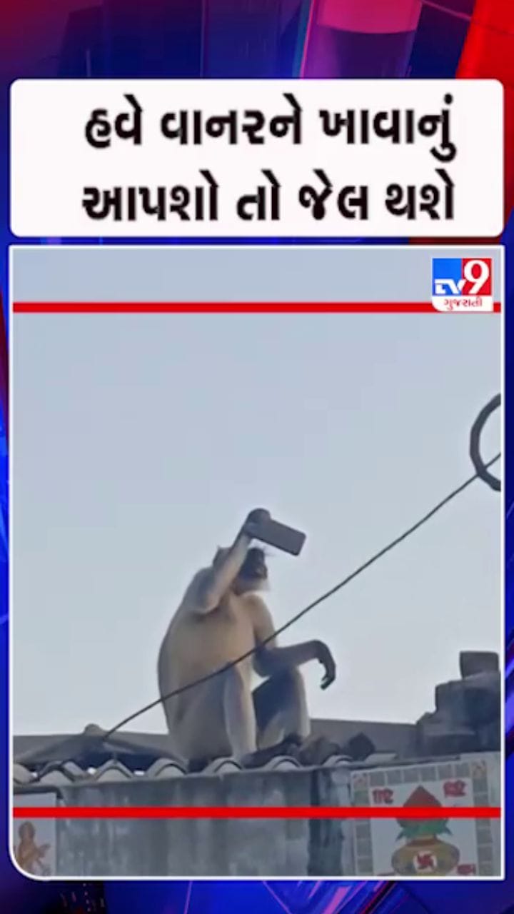 વાનરને લઈને વન વિભાગે જારી કર્યો નીર્ણય