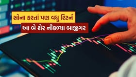 આ બે શેરે આપ્યા સોના કરતાં પણ વધુ રિટર્ન... જાણો