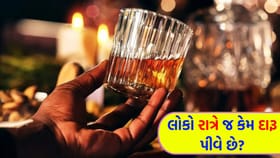 સાંજ પડતા જ કેમ છલકાય છે 'જામ'? શું આ માત્ર આદત છે કે વિજ્ઞાન?