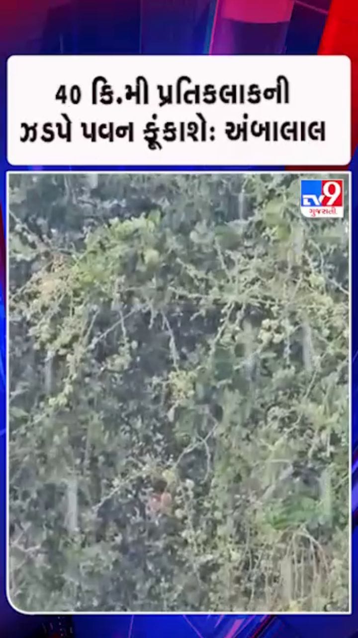 હવામાન નિષ્ણાત અંબાલાલ પટેલની આગાહી