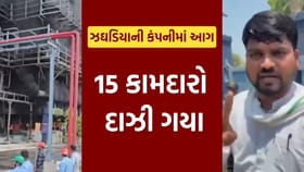 ભરૂચમાં ઝઘડિયાની કંપનીમાં આગની ઘટના, 15 કામદારો દાઝી ગયા