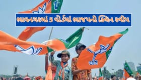 ભાવનગરમાં કાળિયાબીડ સહિત 5 વોર્ડમાં ભાજપની આખી પેનલની જીત