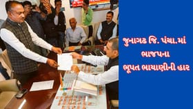 જુનાગઢ જિલ્લા પંચાયતમાં AAP માંથી ભાજપમાં આવેલા ભૂપત ભાયાણીની હાર