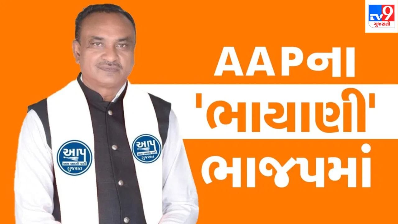 AAPમાંથી જીતીને ભાજપમાં જોડાયેલા ભૂપત ભાયાણીને જનતાએ સ્વીકાર્યા નથી. વિસાવદર બેઠક પરના જાણીતો ભેસાણ જિલ્લા પંચાયતમાં નિષ્ફળ રહ્યા અને પક્ષપલટાનો ડાઘ તેમને હાર તરફ દોરી ગયો.