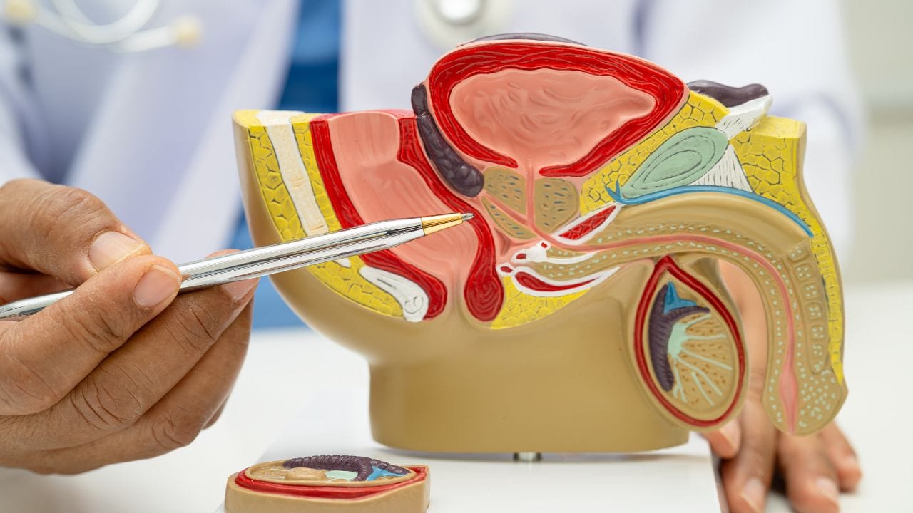 પેશાબમાં લોહી આવવાથી બચવા માટે કેટલીક સરળ બાબતો ધ્યાનમાં રાખવી જોઈએ. દરરોજ પૂરતું પાણી પીવું, સ્વચ્છતા જાળવવી, લાંબા સમય સુધી પેશાબ રોકીને ન રાખવું, સ્વસ્થ આહાર લેવો અને નિયમિત કસરત કરવી ખૂબ જરૂરી છે. જો તમને પેશાબમાં એક વખત પણ લોહી દેખાય, તો તેને અવગણશો નહીં. ખાસ કરીને જો તેની સાથે દુખાવો, તાવ, અથવા વજનમાં ઘટાડો થાય, તો તરત જ ડોક્ટરની સલાહ લો. તમારા શરીરના નાના સંકેતોને સમજવાથી મોટી બીમારીઓથી બચી શકાય છે અને સ્વસ્થ જીવન જીવવું સરળ બને છે.