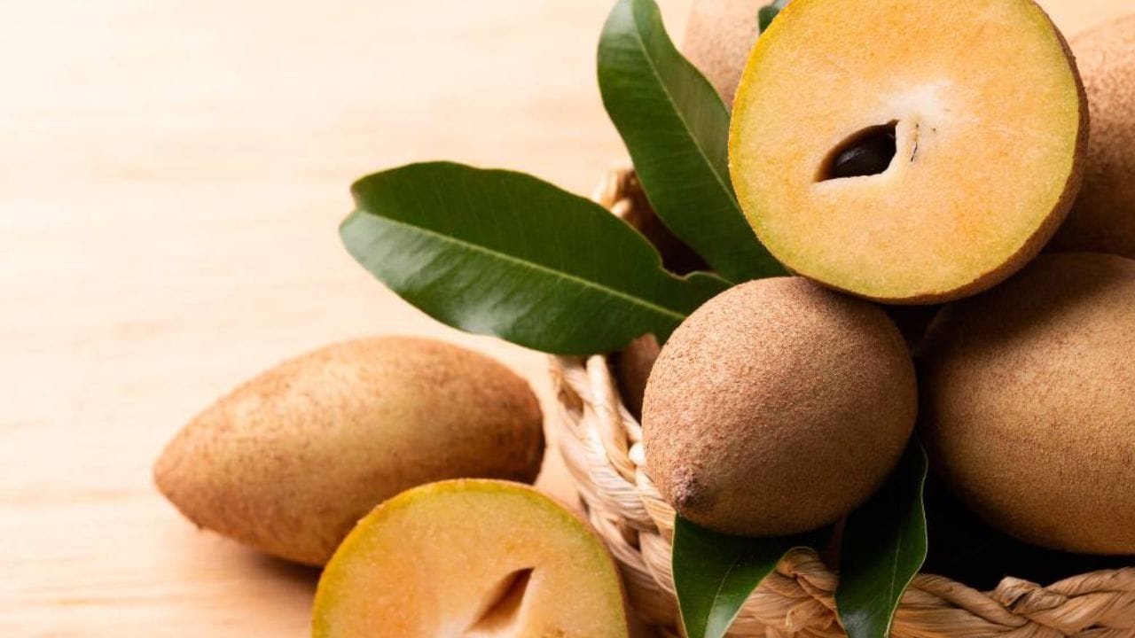 આ મીઠાશ ડાયાબિટીસના દર્દીઓ માટે ચિંતાનું કારણ બની શકે છે. તેથી, એ સમજવું મહત્વપૂર્ણ છે કે ચીકુ શરીરમાં કેવી રીતે કાર્ય કરે છે અને તેનું સેવન બ્લડ સુગરના સ્તરને કેવી રીતે અસર કરી શકે છે.
