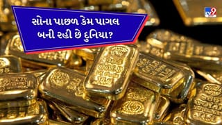 ભારત અને ચીન નહીં…આ દેશ ખરીદી રહ્યુ છે પુષ્કળ પ્રમાણમાં સોનું! જાણો સોના પાછળ કેમ પાગલ થઇ રહી છે દુનિયા
