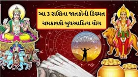 11 એપ્રિલથી આ 3 રાશિના જાતકોની કિસ્મત ચમકી ઉઠશે