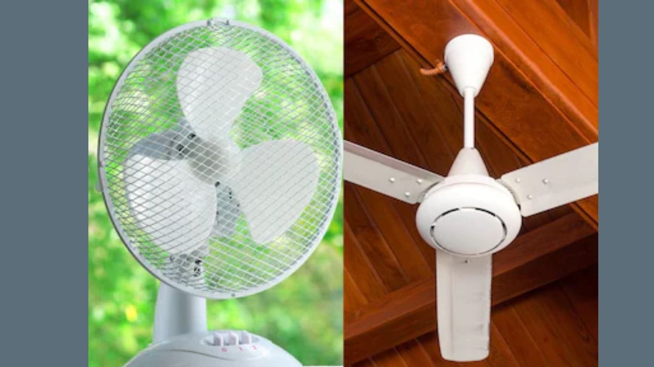સીલિંગ ફેન સામાન્ય રીતે 60 થી 80 વોટ વીજળી વાપરે છે, જ્યારે ટેબલ ફેન સામાન્ય રીતે 30 થી 50 વોટની રેન્જમાં આવે છે. આ સ્પષ્ટપણે દર્શાવે છે કે ટેબલ ફેન ઓછી વીજળી વાપરે છે. જો તમે દિવસભર પંખો ચલાવો છો, તો ટેબલ ફેન તમારા વીજળી બિલને ઓછું રાખવામાં મદદ કરી શકે છે. જો કે, એ નોંધવું પણ મહત્વપૂર્ણ છે કે સીલિંગ ફેન મોટા વિસ્તારમાં હવાનું પરિભ્રમણ કરે છે, જ્યારે ટેબલ ફેન મર્યાદિત જગ્યામાં હવાનું પ્રવાહ ફેલાવે છે. (ફોટો ક્રેડિટ-Google)