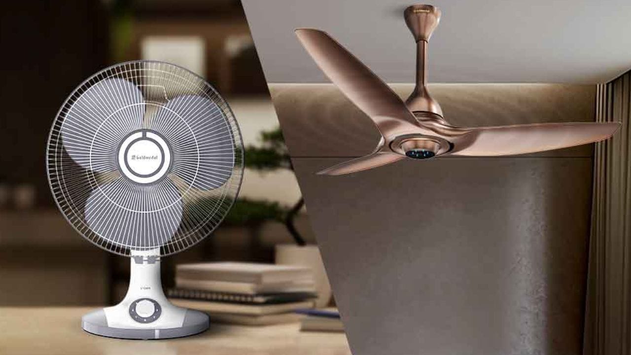 સીલિંગ ફેન સમગ્ર રૂમમાં હવાને સમાન રીતે ફેલાવવા સક્ષમ છે. તે મોટા રૂમ માટે શ્રેષ્ઠ પસંદગી છે. તેનાથી વિપરીત, ટેબલ ફેન ચોક્કસ દિશામાં હવાનો પ્રવાહ પહોંચાડે છે, જે તેને નાના રૂમ માટે અથવા તમે જ્યાં બેઠો છો તે ચોક્કસ જગ્યાને ઠંડુ કરવા માટે વધુ ઉપયોગી બનાવે છે. જો તમારો ધ્યેય આખા રૂમને ઠંડો રાખવાનો હોય, તો સીલિંગ ફેન વધુ સારો વિકલ્પ છે. જો કે, જો તમને ફક્ત તમારી નજીકના વિસ્તારમાં ઠંડી પવનની જરૂર હોય, તો ટેબલ ફેન વધુ અસરકારક સાબિત થઈ શકે છે. (ફોટો ક્રેડિટ-Google)