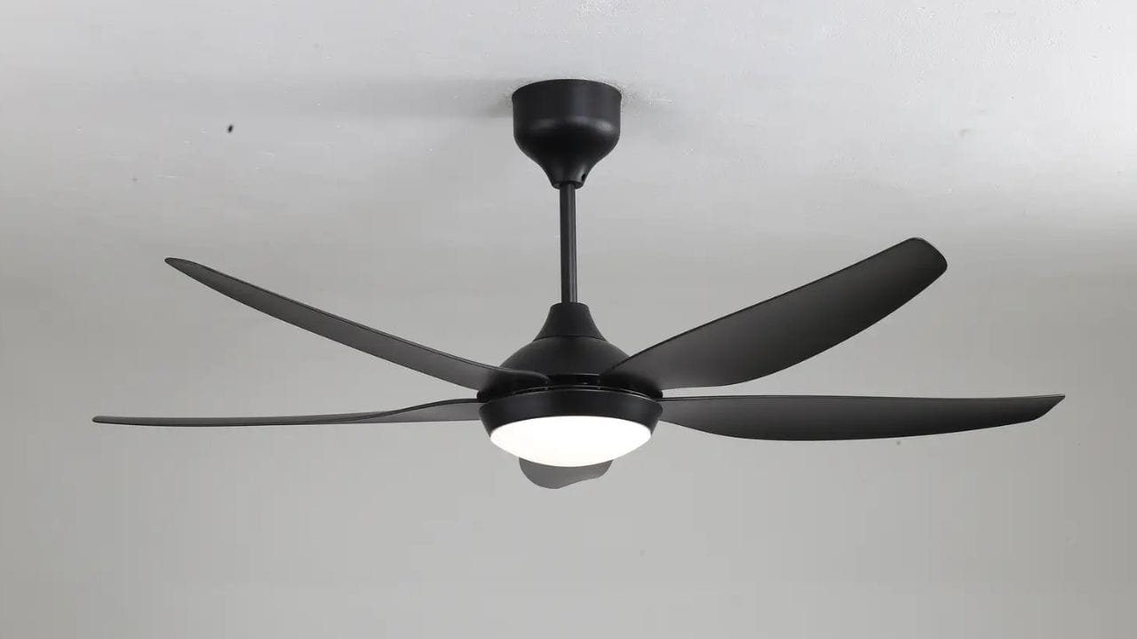 ઉનાળાની ઋતુમાં, પંખા વગર એક મિનિટ પણ રહેવું મુશ્કેલ બની જાય છે. ઘણીવાર, એવી પરિસ્થિતિ ઊભી થાય છે કે પંખો ચાલુ હોય છે, છતાં તમને કોઈ પવનનો અનુભવ થતો નથી. આ પાછળનું કારણ ઇન્સ્ટોલેશન પ્રક્રિયા દરમિયાન થયેલી ભૂલ હોઈ શકે છે. હકીકતમાં, પંખો ઇન્સ્ટોલ કરતી વખતે, ફ્લોરની તુલનામાં તેની ઊંચાઈ અને દિવાલથી તેના અંતર પર ધ્યાન આપવું મહત્વપૂર્ણ છે. (ફોટો ક્રેડિટ-Google)