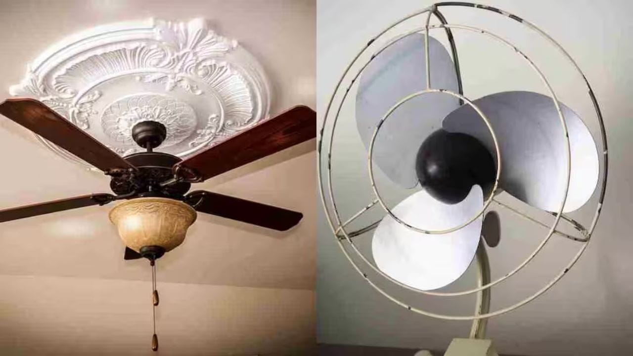 ઉનાળાની ઋતુ શરૂ થતાં જ ઘરોમાં પંખાની જરૂરિયાત વધી જાય છે. પરિણામે, સૌથી મોટો પ્રશ્ન એ ઉદ્ભવે છે કે સીલિંગ ફેન પસંદ કરવો કે ટેબલ ફેન. બંને પોતપોતાના હેતુને પૂર્ણ કરે છે; જો કે, જ્યારે વીજળીના બિલ અને ઉપયોગની વાત આવે છે, ત્યારે યોગ્ય પસંદગી કરવી મહત્વપૂર્ણ બની જાય છે. (ફોટો ક્રેડિટ-Google)