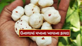 ઉનાળાની ગરમીમાં આવી રીતે ખાઓ મખાના, જાણો