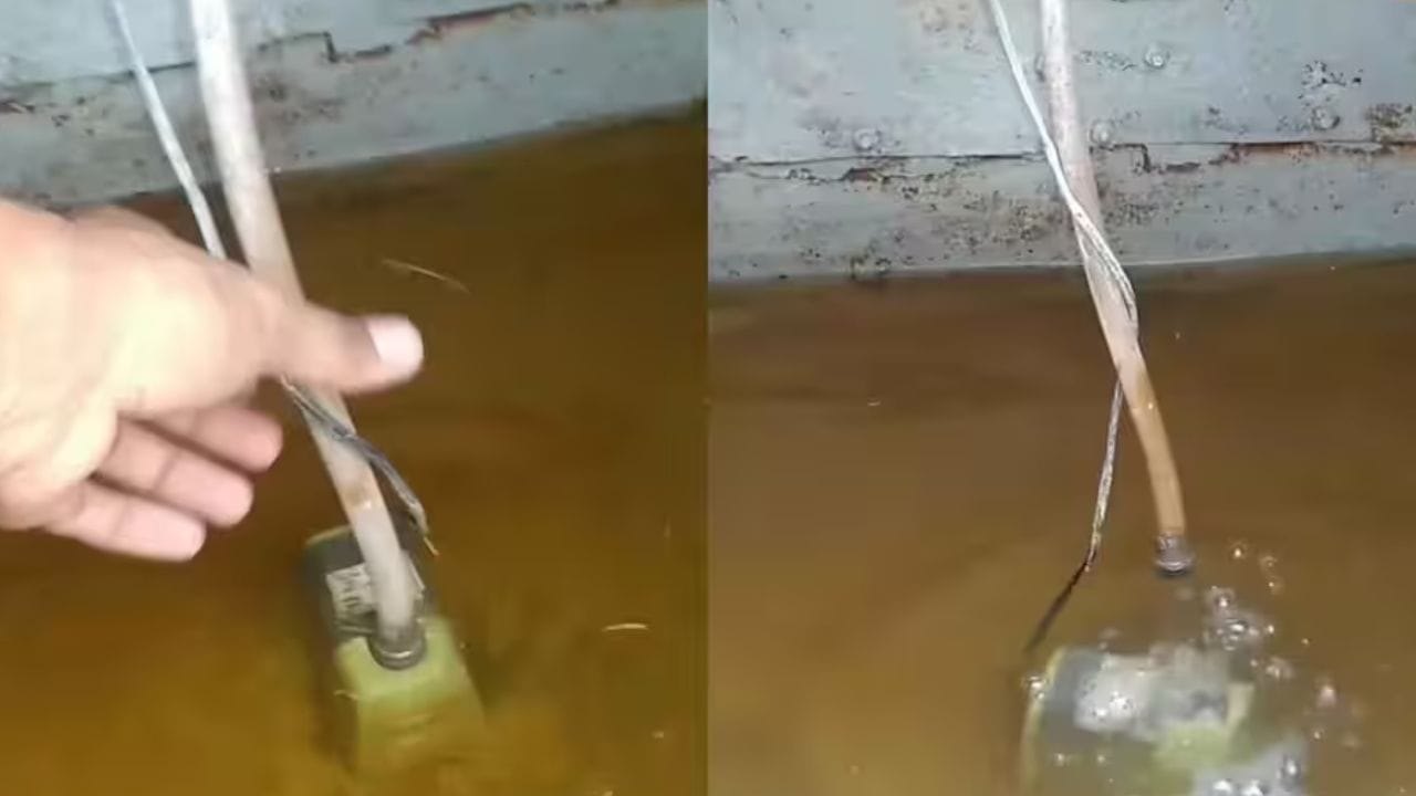 Cooler Water Cleaning Tips : કુલરમાં પાણી હંમેશા સ્વચ્છ રહેશે, ફક્ત આ નાની વસ્તુ ઉમેરો