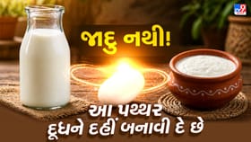 આ પથ્થર છે કમાલનો! દૂધમાં મૂકો અને દહીં આપોઆપ તૈયાર