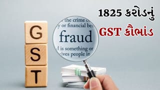 Breaking News: 1825 કરોડના GST કૌભાંડનો માસ્ટરમાઈન્ડ ઝડપાયો, દિલ્હી એરપોર્ટ પરથી કપિલ ચુગની ધરપકડ, જુઓ Video