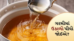 શું શિયાળામાં પીવામાં આવતો ઉકાળો ઉનાળામાં પણ પી શકાય છે?