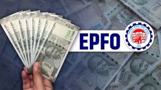 EPFO: જો તમે 2026માં નિવૃત્ત થવાના હોવ અને ખાનગી ક્ષેત્રના કર્મચારી હોવ તો કેટલું પેન્શન મળશે? જાણો અહીં