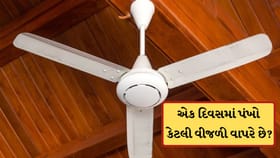 તમારા ઘરનો પંખો કેટલી વીજળી વાપરે છે? 10 કલાક ચલાવવા પર કેટલું બિલ આવે