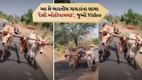 GPS વગર ચાલે છે ગામની ‘કાર’! લોકોએ કહ્યું-અસલી ઓટોપાયલટ