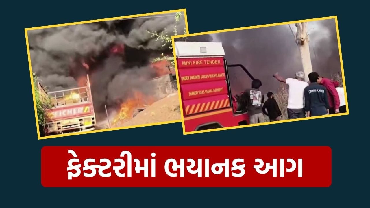 આખો ટ્રક બળી ગયો, અમદાવાદમાં ડનલોપ સીટ બનાવટી ફેક્ટરીમાં ભીષણ આગ, જુઓ Video આખો ટ્રક બળી ગયો, અમદાવાદમાં ડનલોપ સીટ બનાવટી ફેક્ટરીમાં ભીષણ આગ, જુઓ Video