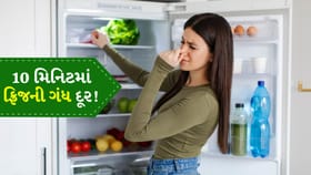ફ્રિજ ખોલતા જ ખરાબ ગંધ? આ ઘરેલું ટિપ્સથી તરત મળશે રાહત