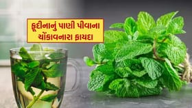 ફૂદીનાનું પાણી પીવાના 5 ફાયદા