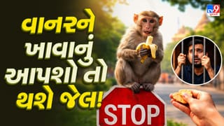 Breaking News : અમદાવાદમાં વાનરોને કોઈ ખાવા આપતુ પકડાયુ તો થશે જેલ, વન વિભાગે કરી જાહેરાત