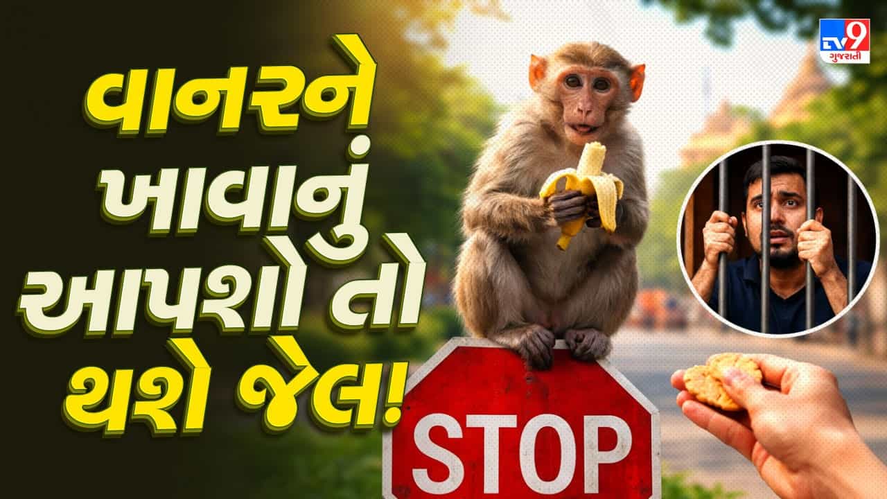 Breaking News : અમદાવાદમાં વાનરોને કોઈ ખાવા આપતુ પકડાયુ તો થશે જેલ, વન વિભાગે કરી જાહેરાત