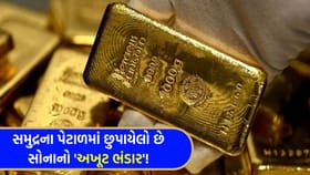 સમુદ્રના પેટાળમાં છુપાયેલો છે સોનાનો 'અખૂટ ભંડાર'!