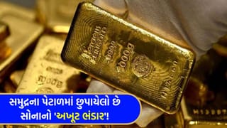 કુદરતની અજીબ કરામત ! દરિયાના ઊંડાણમાં મળી આવ્યું ‘અઢળક સોનું’, વૈજ્ઞાનિકોને હાથ લાગ્યો કુદરતી ખજાનાનો ‘અખૂટ ભંડાર’