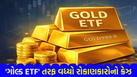 એક જ વર્ષમાં 'ગોલ્ડ ETF' એ રોકાણકારોને કર્યા 'માલામાલ'