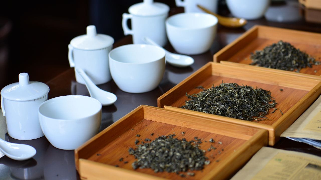 તેમાં બ્લેક કોફી, ગ્રીન ટી અને મેચા ટી સૌથી વધુ લોકપ્રિય વિકલ્પ તરીકે સામે આવે છે. પરંતુ પ્રશ્ન એ છે કે આ ત્રણમાંથી કયું પીણું ખરેખર શરીર માટે વધુ ફાયદાકારક છે? (Image Credit Source: Social Media)