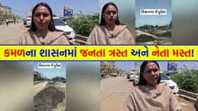 'વિસનગરમાં વિકાસના નામે માત્ર મીંડું', BJPના કાર્યકર્તાએ સ્વીકાર્યું