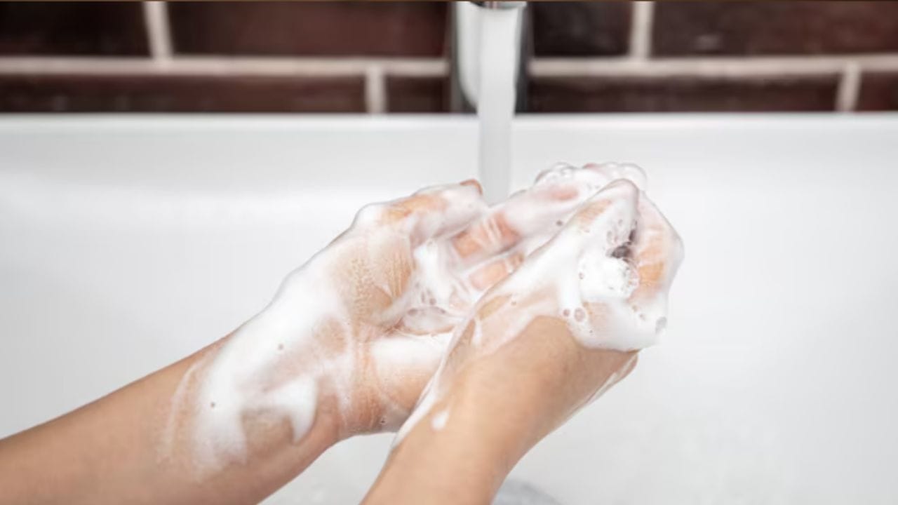 ભોજન પહેંલા નિયમિત હાથ ધોવા અને સ્વચ્છતા જાળવવી. 