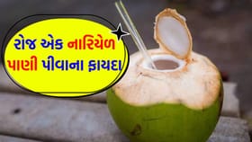 પાચનથી લઈને સ્કીન સુધી... નારિયેળ પાણી છે દરેક સમસ્યાનો 'ઉકેલ'