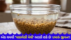 સ્વાસ્થ્ય, ત્વચા અને વાળની દરેક સમસ્યાનો એક જ 'કુદરતી ઈલાજ'
