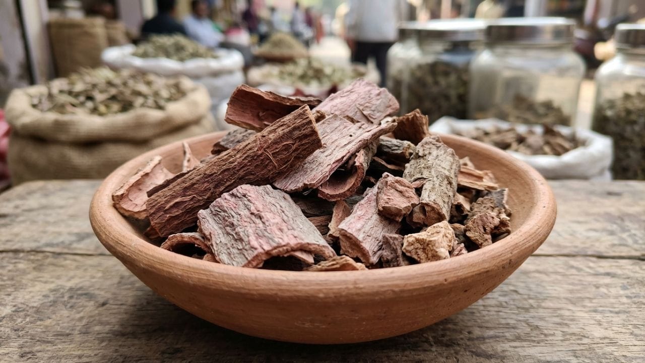 અર્જુનની છાલ હૃદયના સ્વાસ્થ્ય માટે અત્યંત ઉપયોગી છે. આમાં ટર્મિનેલિક એસિડ, ફ્લેવોનોઈડ્સ અને પુષ્કળ પ્રમાણમાં એન્ટીઓક્સીડેન્ટ જોવા મળે છે. આ તત્વો હૃદયના સ્નાયુઓને મજબૂતી આપે છે, લોહીને કુદરતી રીતે પાતળું કરે છે અને હાર્ટ એટેકનું જોખમ ઘટાડે છે. અર્જુનની છાલ રક્તવાહિનીઓને પહોળી કરીને બ્લડ પ્રેશરને નિયંત્રિત રાખે છે. સાથે જ, તે શરીરમાંથી ખરાબ કોલેસ્ટ્રોલ (LDL) ઘટાડીને સારા કોલેસ્ટ્રોલ (HDL) ને વધારવામાં મદદ કરે છે.