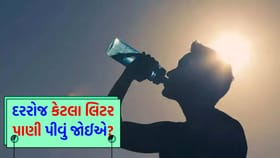 ઉનાળામાં પુરુષો, મહિલાઓ અને બાળકોએ દરરોજ કેટલા લિટર પાણી પીવું જોઈએ?