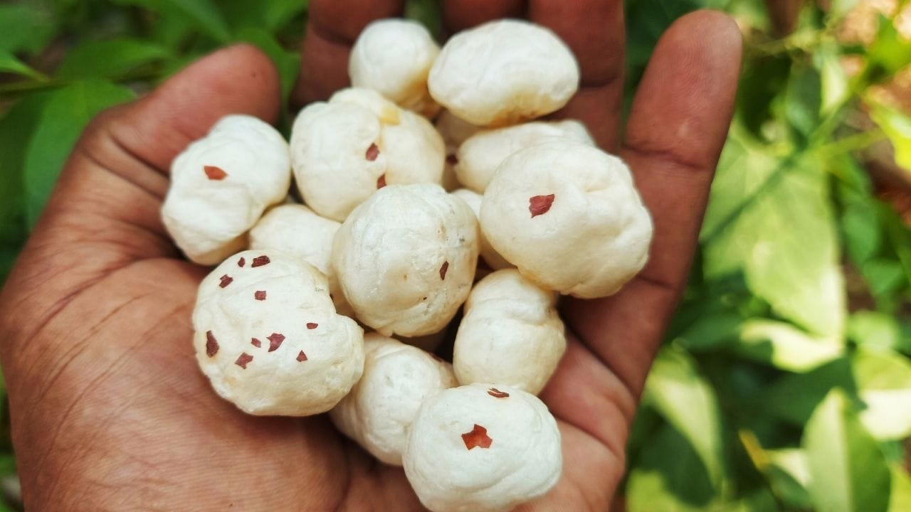 ઉનાળામાં શરીરને ઠંડુ રાખવા માટે બેલ, સત્તુ અને કાકડી જેવી વસ્તુઓ ખાવાની સલાહ આપવામાં આવે છે. આ ખોરાક શરીરને હાઈડ્રેટ રાખે છે અને અંદરની ગરમી ઘટાડવામાં મદદ કરે છે. સાથે સાથે પૂરતું પાણી પીવું પણ એટલું જ મહત્વનું છે. પાણી અને ફાઇબરથી ભરપૂર ખોરાક શરીરને તાજગી આપે છે અને થાક ઘટાડે છે.