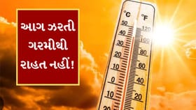 Breaking News : 48 કલાક હજુ સહન કરવી પડશે આકરી ગરમી