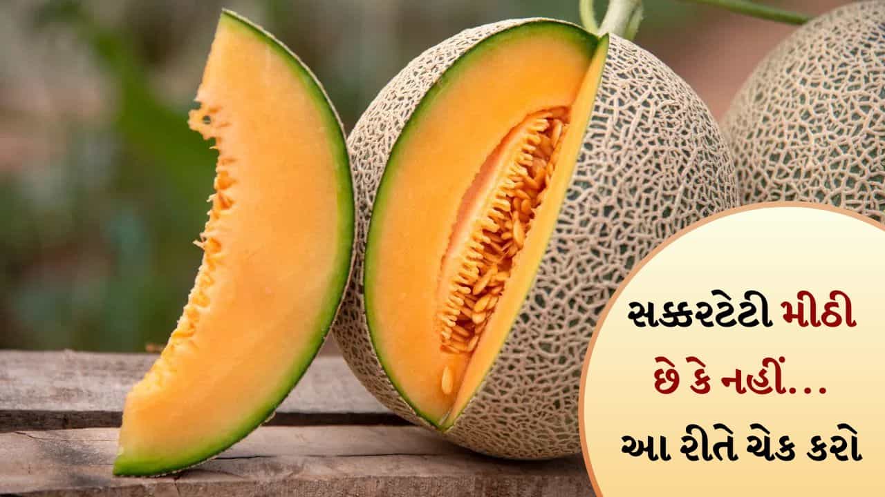 Tips And Tricks: સક્કરટેટી મીઠી છે કે નહીં...ખરીદતા પહેલા કેવી રીતે નક્કી કરવું? આ ટ્રિક આવશે કામ, જુઓ પોસ્ટ