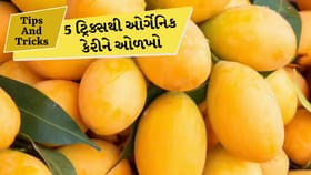 કુદરતી કે કેમિકલવાળી? કેરી ખરીદતા પહેલા આ ટ્રિક્સ અજમાવો