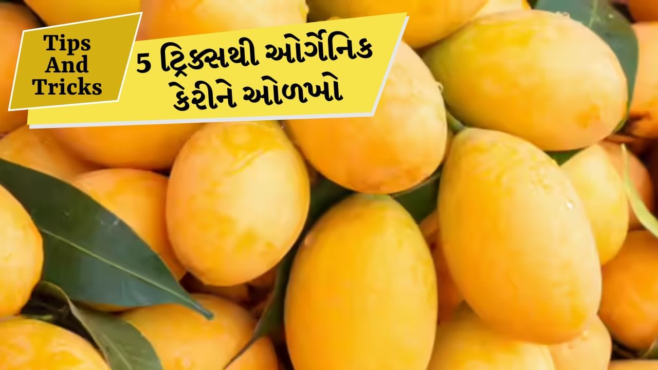 શું તમે કેમિકલવાળી કેરી ખાય રહ્યા છો? આ 5 સરળ રીતથી ઓર્ગેનિક કેરીને ઓળખો