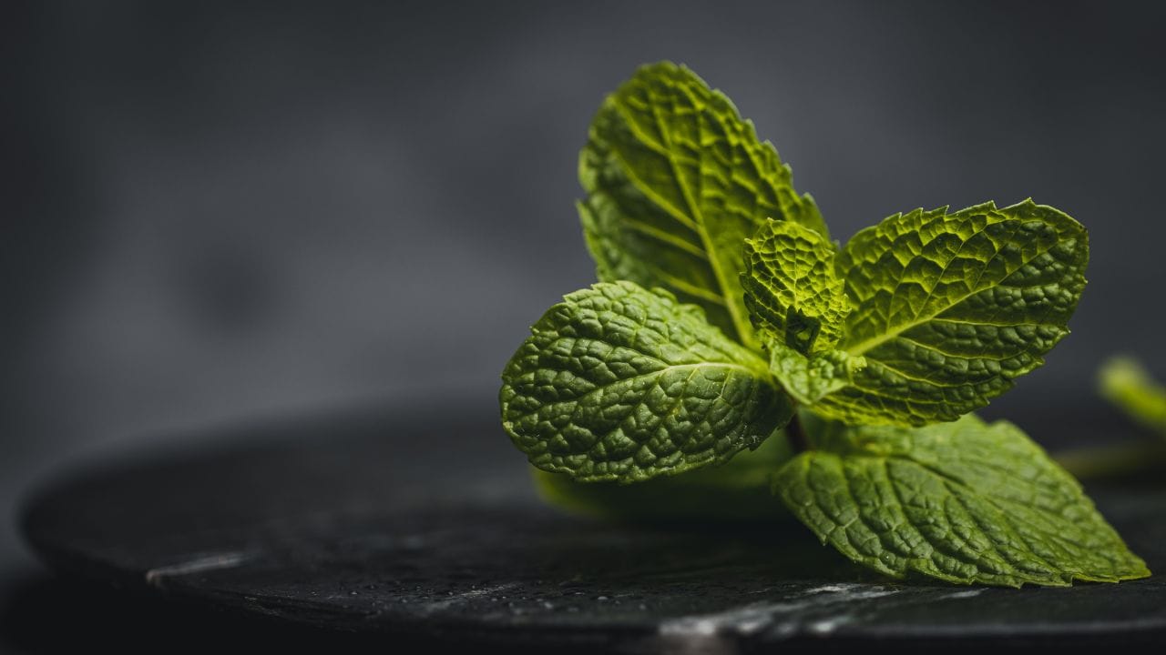 ધાણા અને ફુદીનાને સ્ટોર કરતા પહેલા તેને પાણીમાં થોડું હળદર ઉમેરીને ધોઈ લેવાથી ખૂબ ફાયદો થાય છે. હળદરના એન્ટીબેક્ટેરિયલ ગુણોના કારણે પાંદડાઓ પર રહેલા જીવાણુઓ દૂર થાય છે. પરિણામે પાન ઝડપથી બગડતા નથી અને વધુ સમય સુધી તાજા રહે છે. (Image Credit Source: Canva)