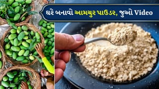 Amchur Powder : ના મહેનત, ના વધારે રુપિયા, ઘરે આવી રીતે બનાવો આમચુર પાઉડર, ઘણા વર્ષો સુધી ચાલશે